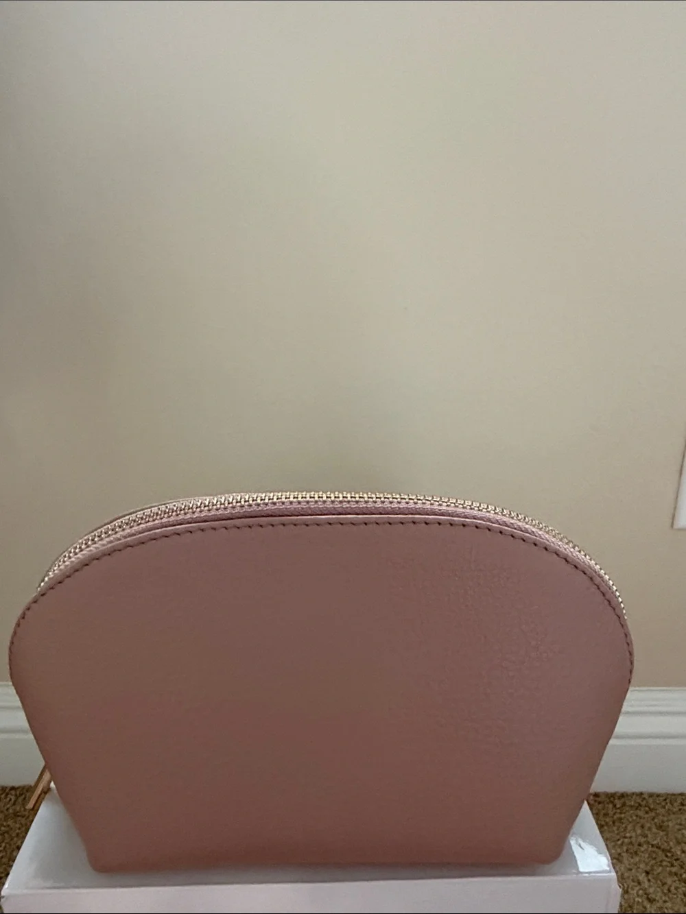 Cuyana Dusty Rose Leather Cosmetic Pouch with Gold Zipper